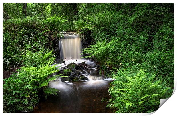 Upper Coppice Wheel, Rivelin Print by Darren Galpin