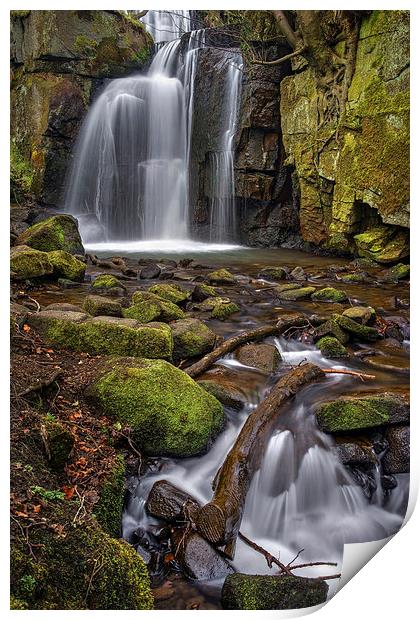 Lumsdale Falls and Bentley Brook  Print by Darren Galpin