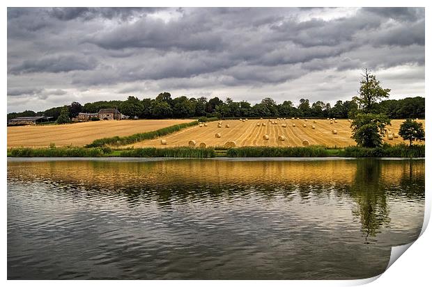 Morley Pond, Wentworth Print by Darren Galpin