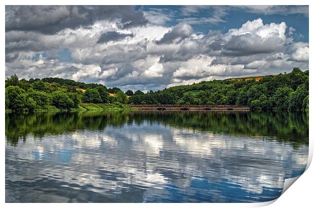 Ulley Country Park Reflections  Print by Darren Galpin