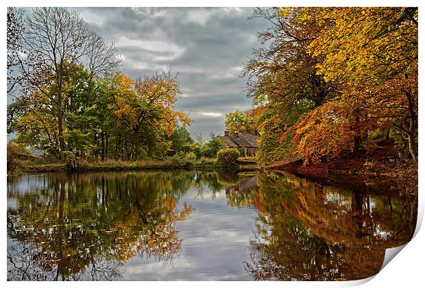 Bentley Brook Mill Pond  Print by Darren Galpin