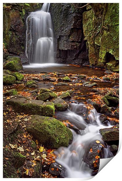 Lumsdale Falls in Autumn  Print by Darren Galpin