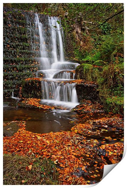 Lumsdale Autumn Leaves and Falls  Print by Darren Galpin