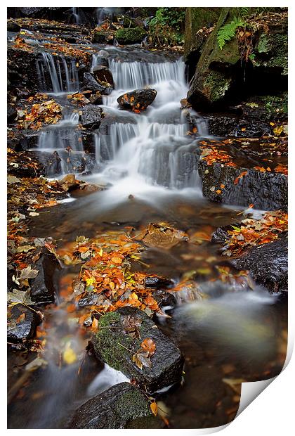 Lumsdale Waterfalls with Autumn Leaves  Print by Darren Galpin