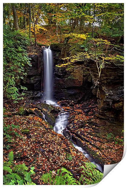Cascading Falls in Lumsdale  Print by Darren Galpin
