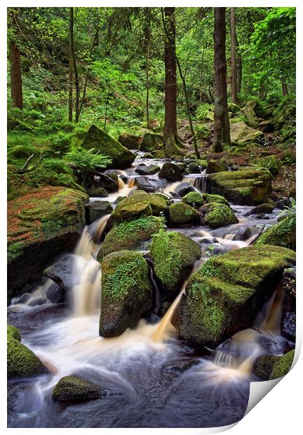 Wyming Brook                                Print by Darren Galpin