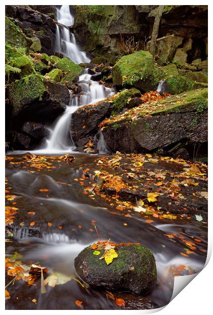 Lumsdale Falls in Autumn Print by Darren Galpin
