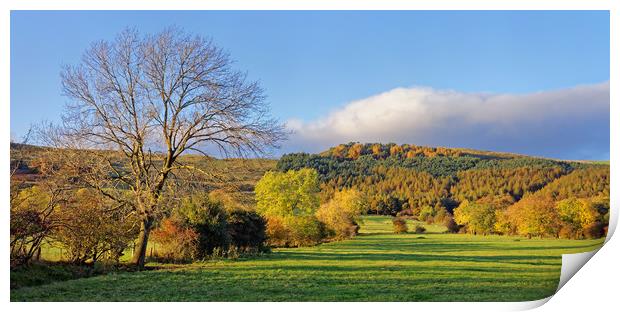 Hope Valley during Autumn                          Print by Darren Galpin