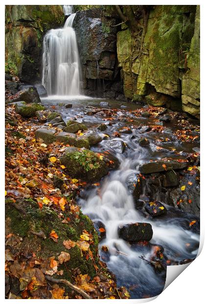 Lumsdale Falls Near Matlock                     Print by Darren Galpin