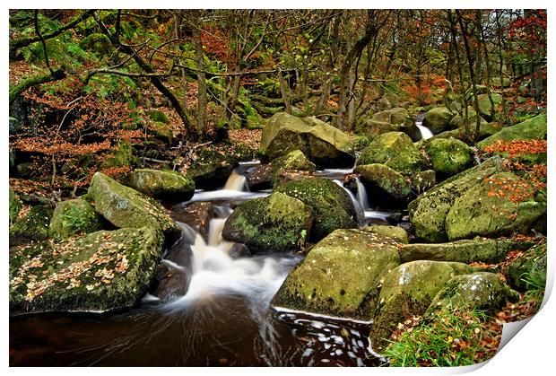 Padley Gorge in Autumn                       Print by Darren Galpin