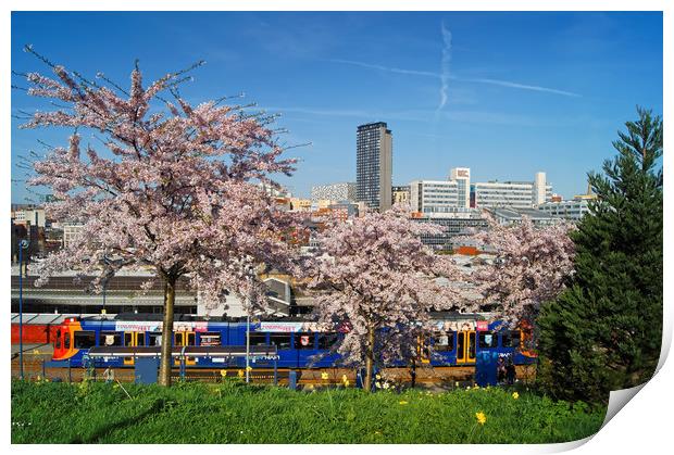 Sheffield Skyline from South St Park               Print by Darren Galpin