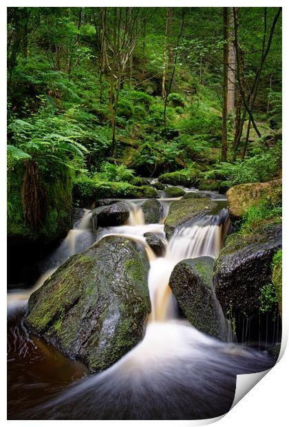 Wyming Brook Falls                           Print by Darren Galpin