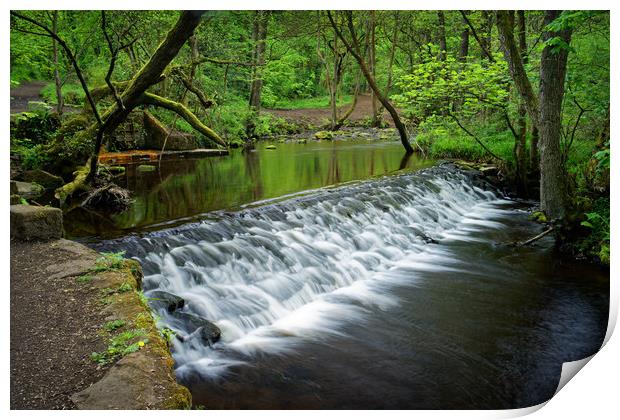  Holme Head Weir, Rivelin                          Print by Darren Galpin