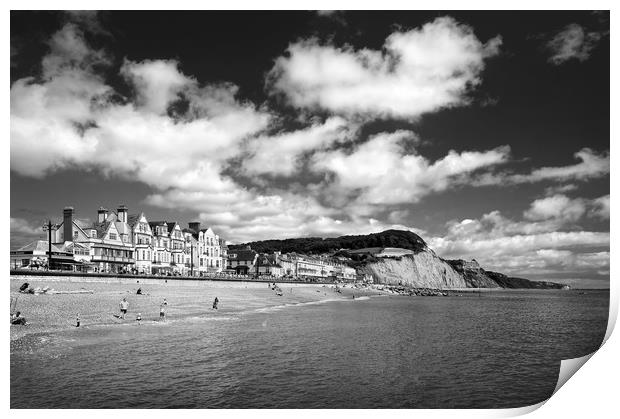 Sidmouth Seafront & Coastline                     Print by Darren Galpin