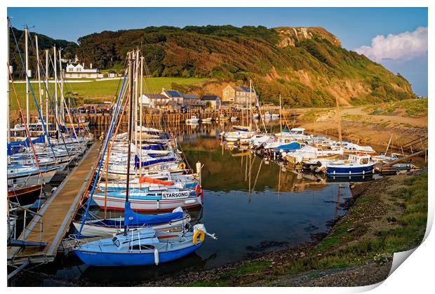 Axmouth Harbour & Haven Cliff                      Print by Darren Galpin