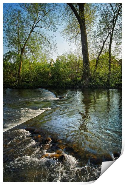 River Wye at Bakewell            Print by Darren Galpin