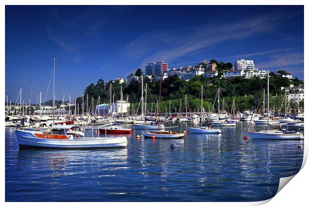 Torquay Harbour Print by Darren Galpin