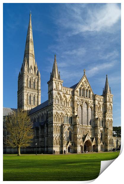 Salisbury Cathedral                        Print by Darren Galpin