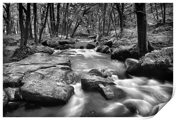 Golitha Falls Print by Darren Galpin