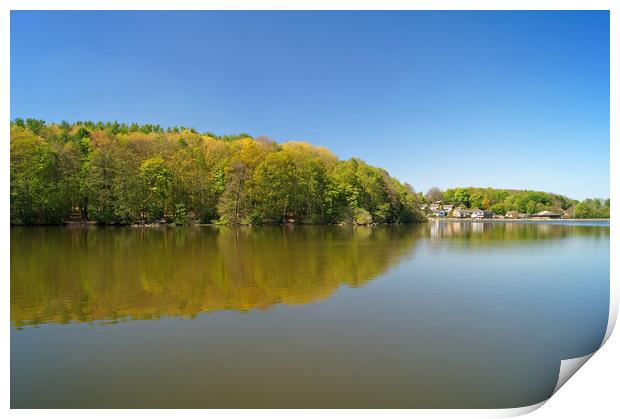 Newmillerdam Lake                       Print by Darren Galpin