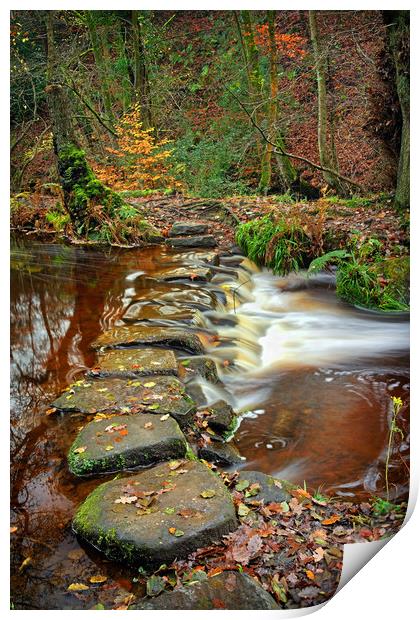   Rivelin Stepping Stones                          Print by Darren Galpin