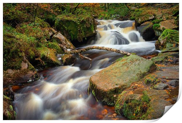 Wyming Brook in Autumn                             Print by Darren Galpin