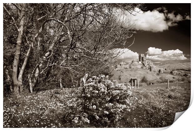 Corfe Castle View                       Print by Darren Galpin