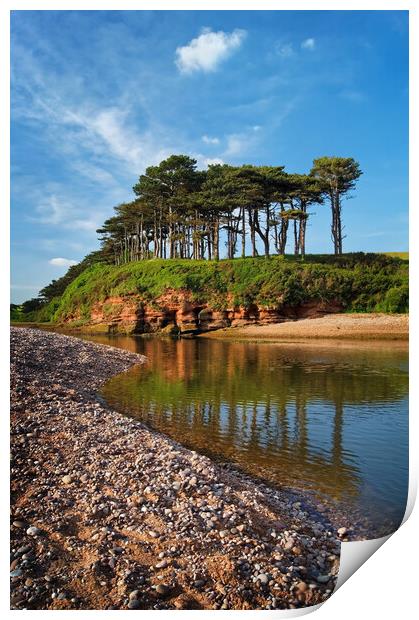 River Otter reflections at Budleigh Salterton  Print by Darren Galpin