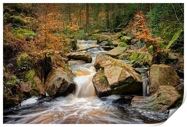 Wyming Brook in Autumn Print by Darren Galpin