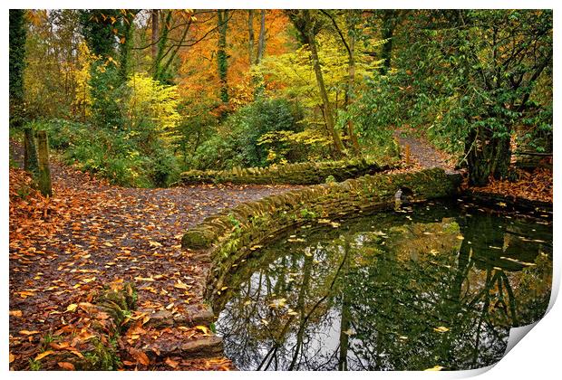 Ninesprings Country Park Print by Darren Galpin