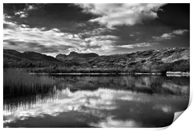 Elter Water Reflections Print by Darren Galpin