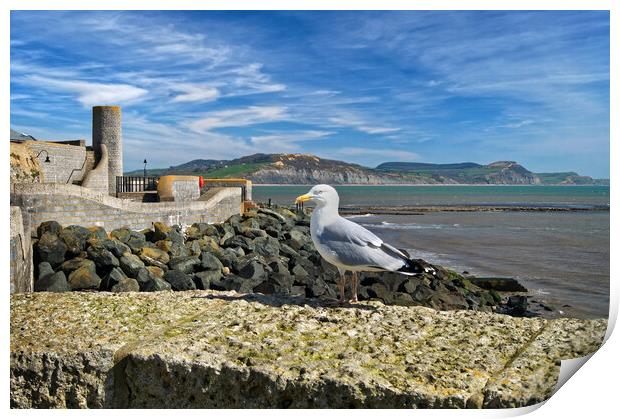 Lyme Bay and Gun Cliff Walk Print by Darren Galpin