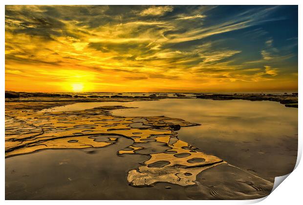 Sand, Sea, Sun Print by Darren Ball