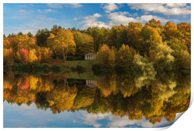 Clumber Park in the Autumn Print by Darren Ball