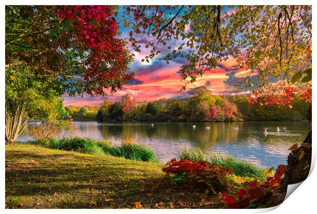 Autumn Lakeside Print by Darren Ball