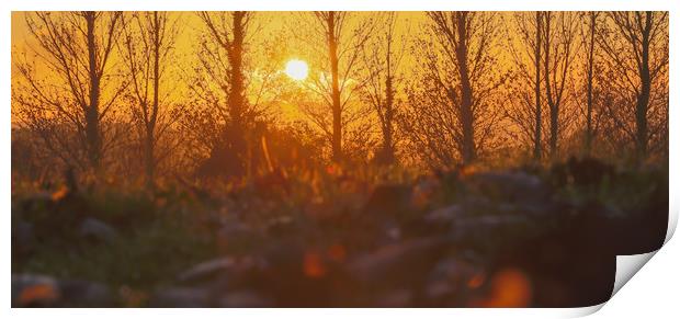 autumn sunset  Print by kevin murch