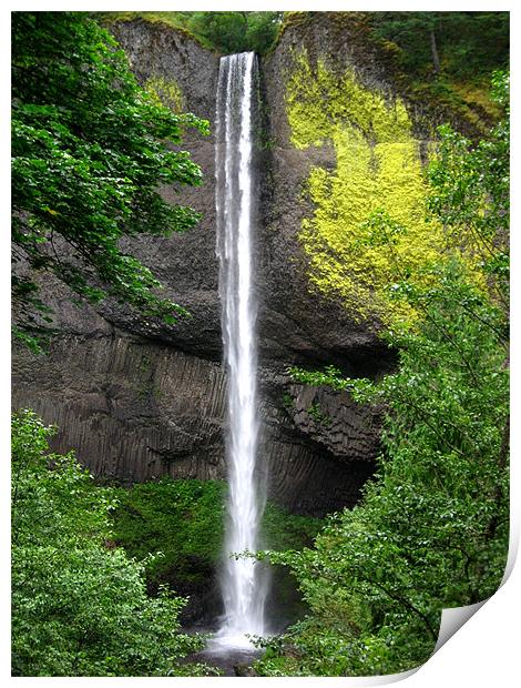Oregon Waterfall Print by Steve Bieberich
