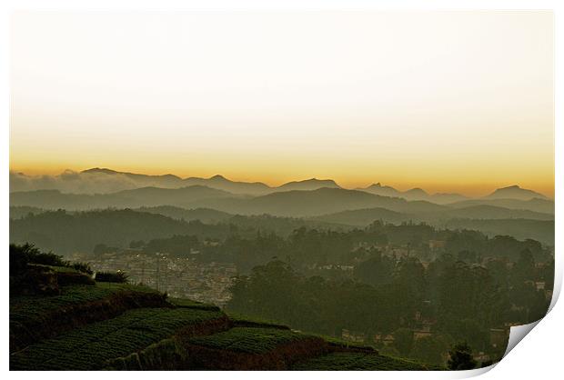 Ooty at Sunset Print by Norwyn Cole