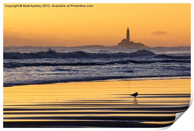 Bird on the beach. Print by Mark Aynsley