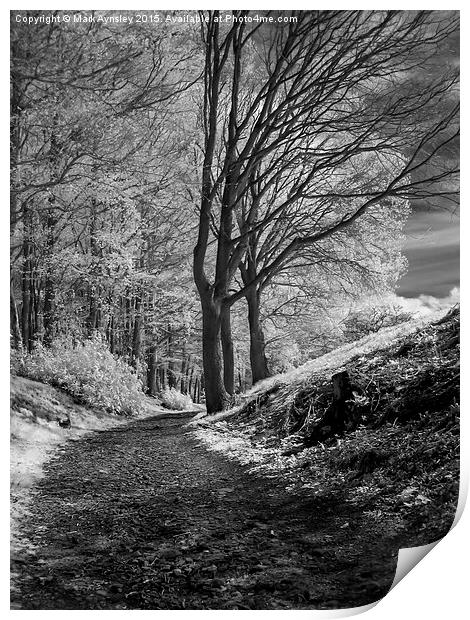  The path. Print by Mark Aynsley
