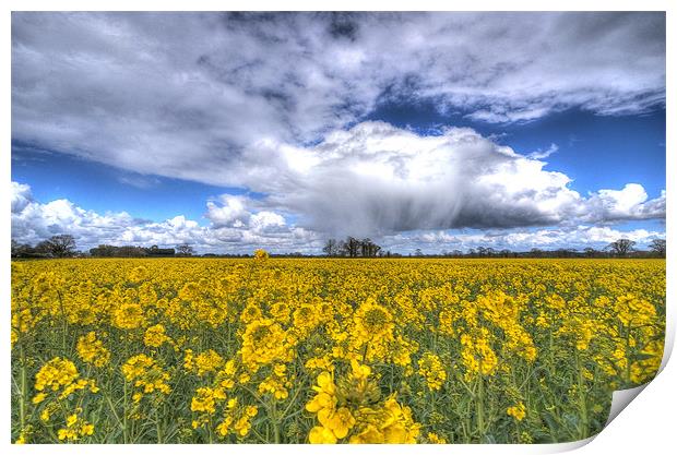 APRIL SHOWERS Print by Paul Nichols