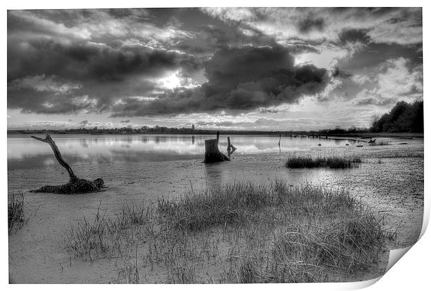 Blythburgh by winter Print by Paul Nichols