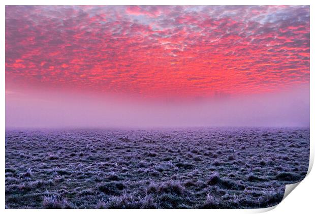 Sunrise at Widbrook Common Print by Mick Vogel