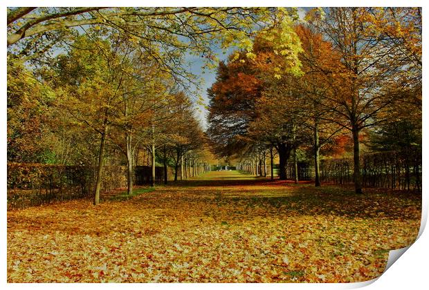 Autumnal Scene At Odney Club Print by Mick Vogel