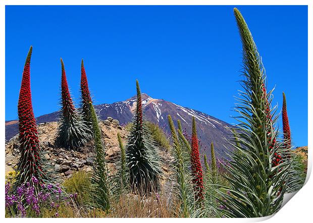 Mt Teide Print by Tracey Whitefoot