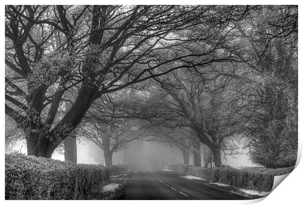 Misty Road Print by Tracey Whitefoot