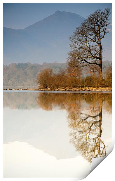 Reflection Print by Tracey Whitefoot