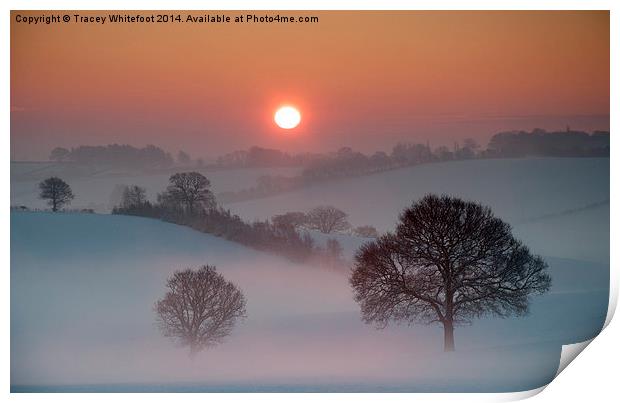 Winter Sunrise Print by Tracey Whitefoot