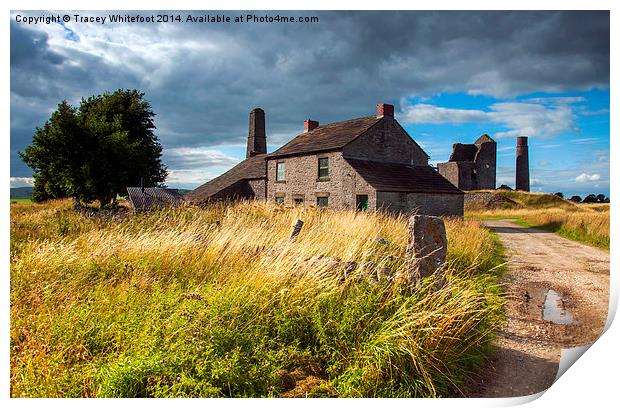 Magpie Mine Print by Tracey Whitefoot