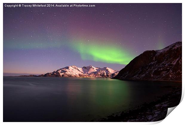 Grotfjord Aurora Print by Tracey Whitefoot